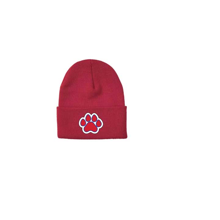 Lincoln Alexander School Winter Hats